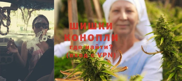 крисы Каменногорск