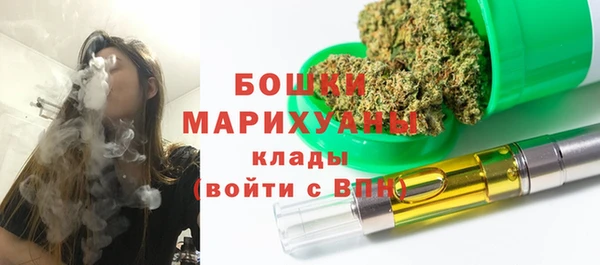 крисы Каменногорск