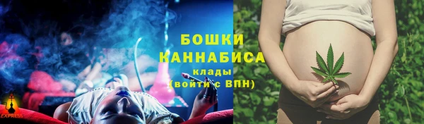 крисы Каменногорск