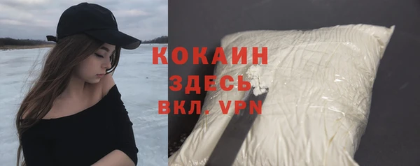 крисы Каменногорск
