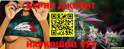 прущие грибы Кингисепп