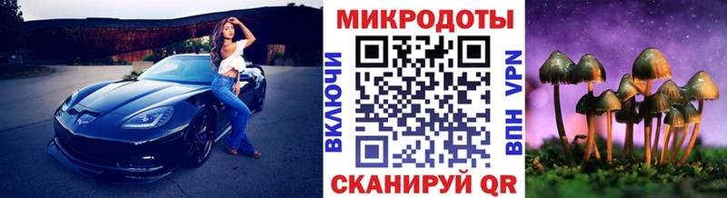 Галлюциногенные грибы Psilocybe  Коммунар 